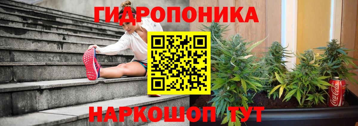 Марихуана SATIVA & INDICA  Вход с VPN  Малгобек  Каннабис VHQ  Каннабис Ganja 